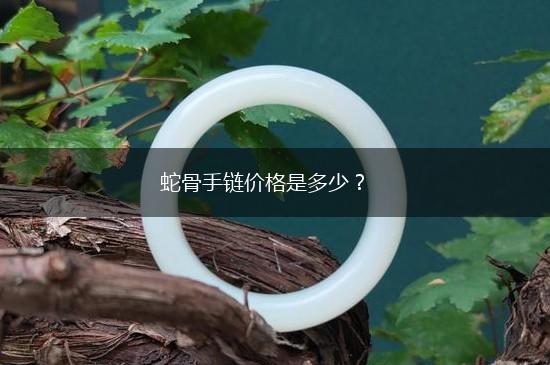 蛇骨手链价格是多少？,第1张
