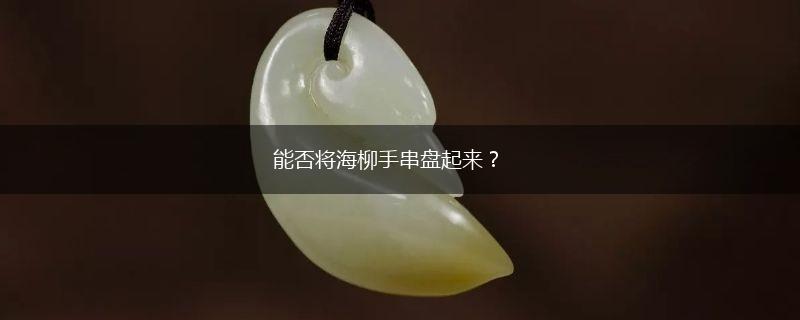能否将海柳手串盘起来？,第1张