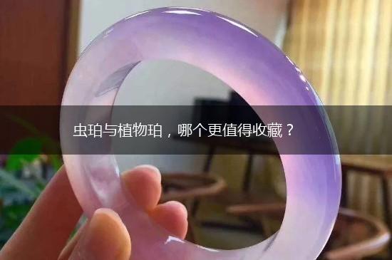 虫珀与植物珀，哪个更值得收藏？,第1张