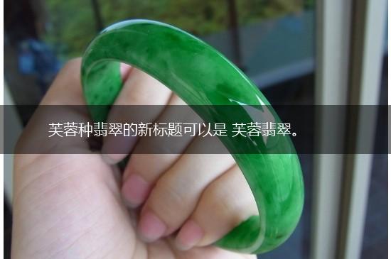 芙蓉种翡翠的新标题可以是 芙蓉翡翠。,第1张