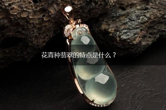 花青种翡翠的特点是什么？,第1张