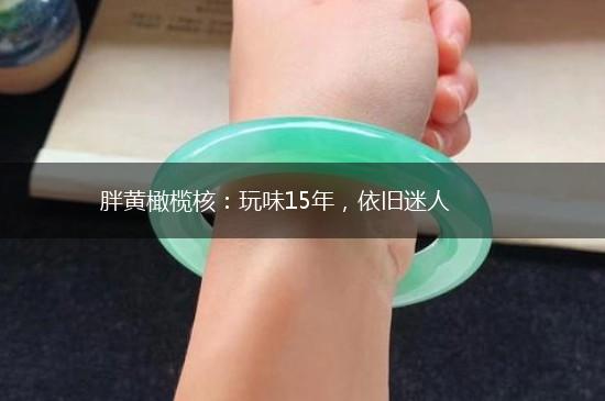 胖黄橄榄核：玩味15年，依旧迷人,第1张