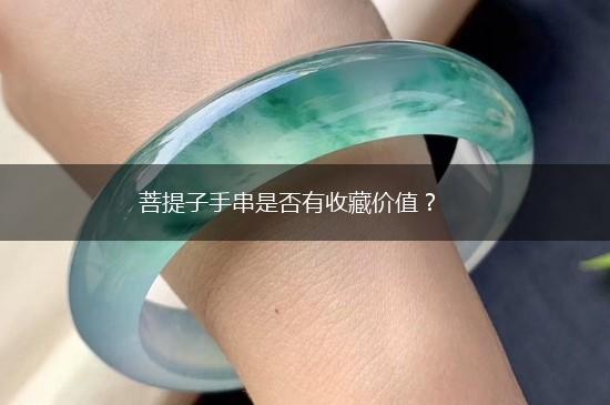 菩提子手串是否有收藏价值？,第1张