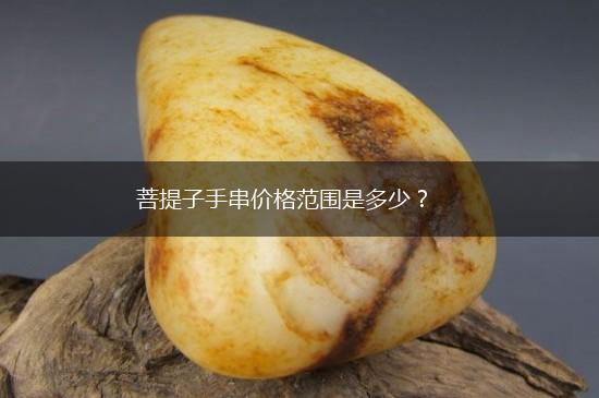 菩提子手串价格范围是多少？,第1张
