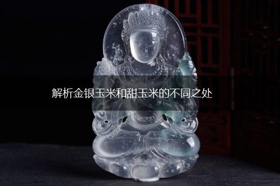 解析金银玉米和甜玉米的不同之处,第1张