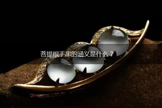 菩提根手串的涵义是什么？,第1张