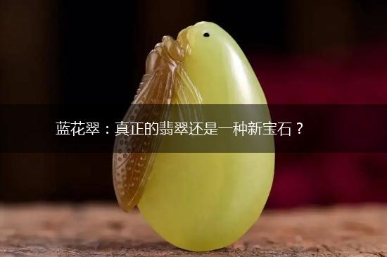 蓝花翠：真正的翡翠还是一种新宝石？,第1张