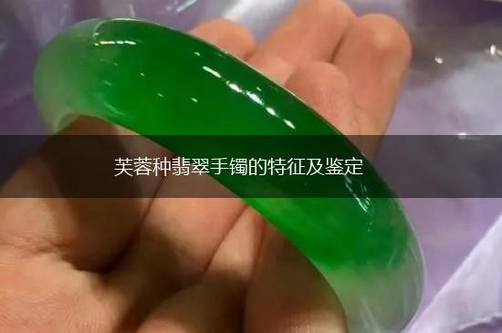 芙蓉种翡翠手镯的特征及鉴定,第1张