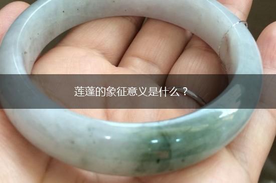 莲蓬的象征意义是什么？,第1张