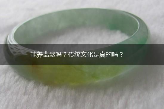 能养翡翠吗？传统文化是真的吗？,第1张