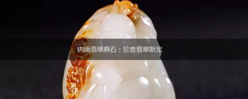 肉质翡翠原石：珍贵翡翠新宠,第1张