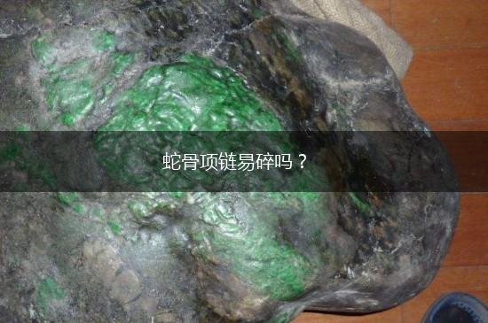 蛇骨项链易碎吗？,第1张