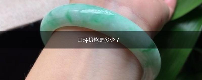 耳环价格是多少？,第1张