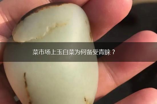 菜市场上玉白菜为何备受青睐？,第1张