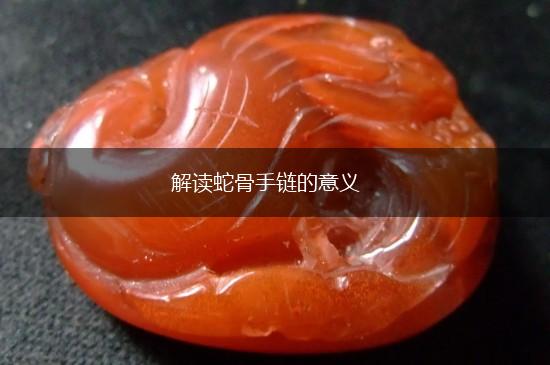 解读蛇骨手链的意义,第1张