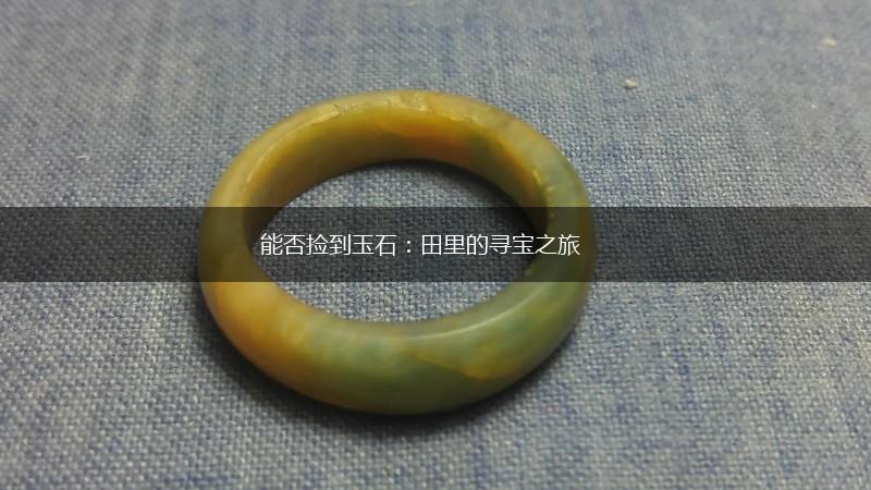 能否捡到玉石：田里的寻宝之旅,第1张