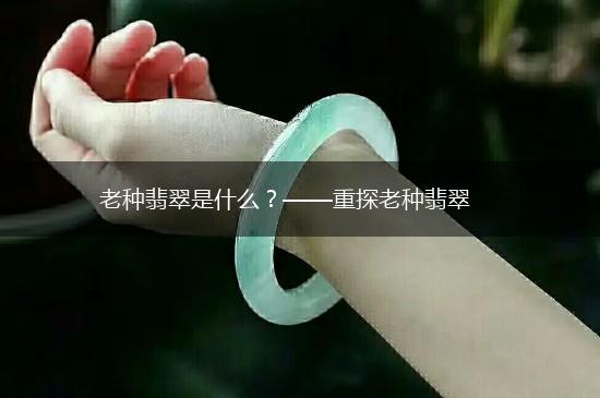 老种翡翠是什么？——重探老种翡翠,第1张