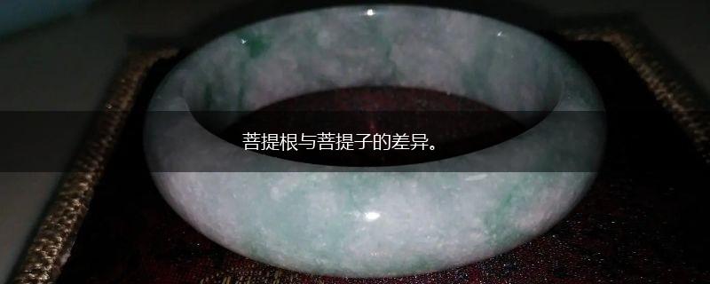 菩提根与菩提子的差异。,第1张