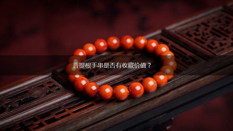 菩提根手串是否有收藏价值？,第1张
