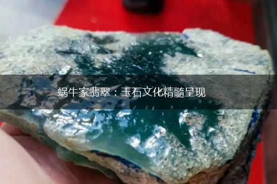 蜗牛家翡翠：玉石文化精髓呈现,第1张