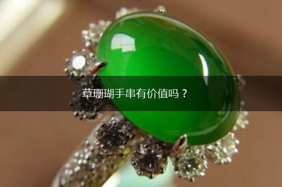 草珊瑚手串有价值吗？,第1张