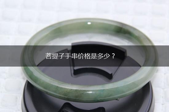 菩提子手串价格是多少？,第1张