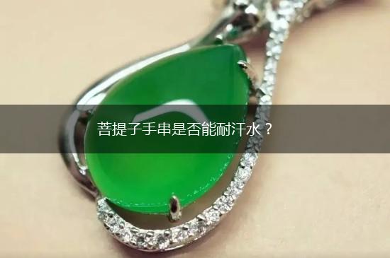 菩提子手串是否能耐汗水？,第1张