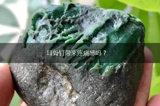 耳骨钉带来疼痛感吗？,第1张