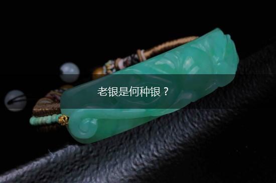 老银是何种银？,第1张