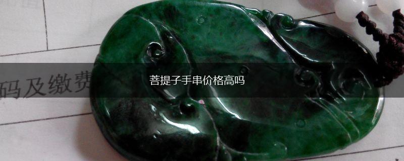 菩提子手串价格高吗,第1张