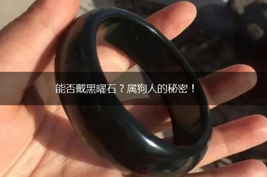能否戴黑曜石？属狗人的秘密！,第1张