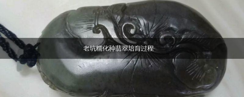 老坑糯化种翡翠培育过程,第1张