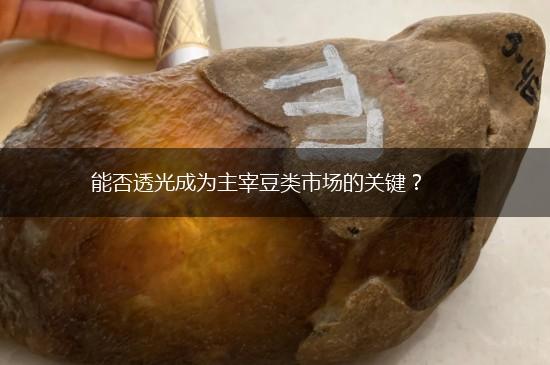能否透光成为主宰豆类市场的关键？,第1张
