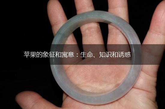 苹果的象征和寓意：生命、知识和诱惑,第1张