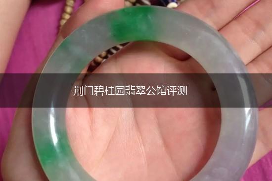 荆门碧桂园翡翠公馆评测,第1张