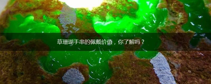 草珊瑚手串的佩戴价值，你了解吗？,第1张