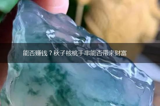 能否赚钱？秋子核桃手串能否带来财富,第1张