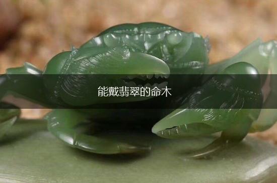 能戴翡翠的命木,第1张