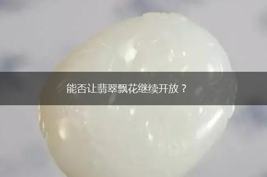 能否让翡翠飘花继续开放？,第1张