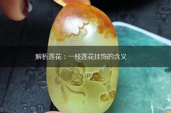 解析莲花：一枝莲花挂饰的含义,第1张