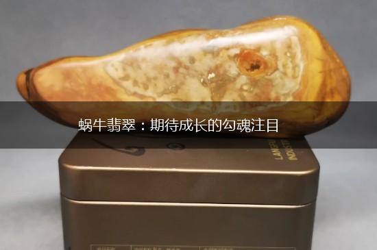 蜗牛翡翠：期待成长的勾魂注目,第1张