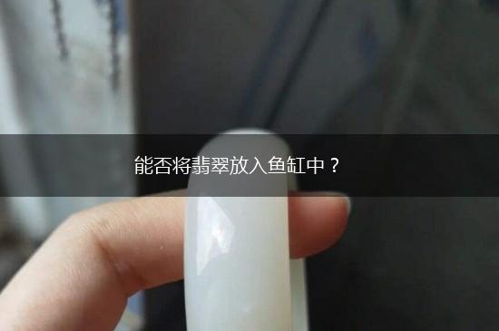 能否将翡翠放入鱼缸中？,第1张